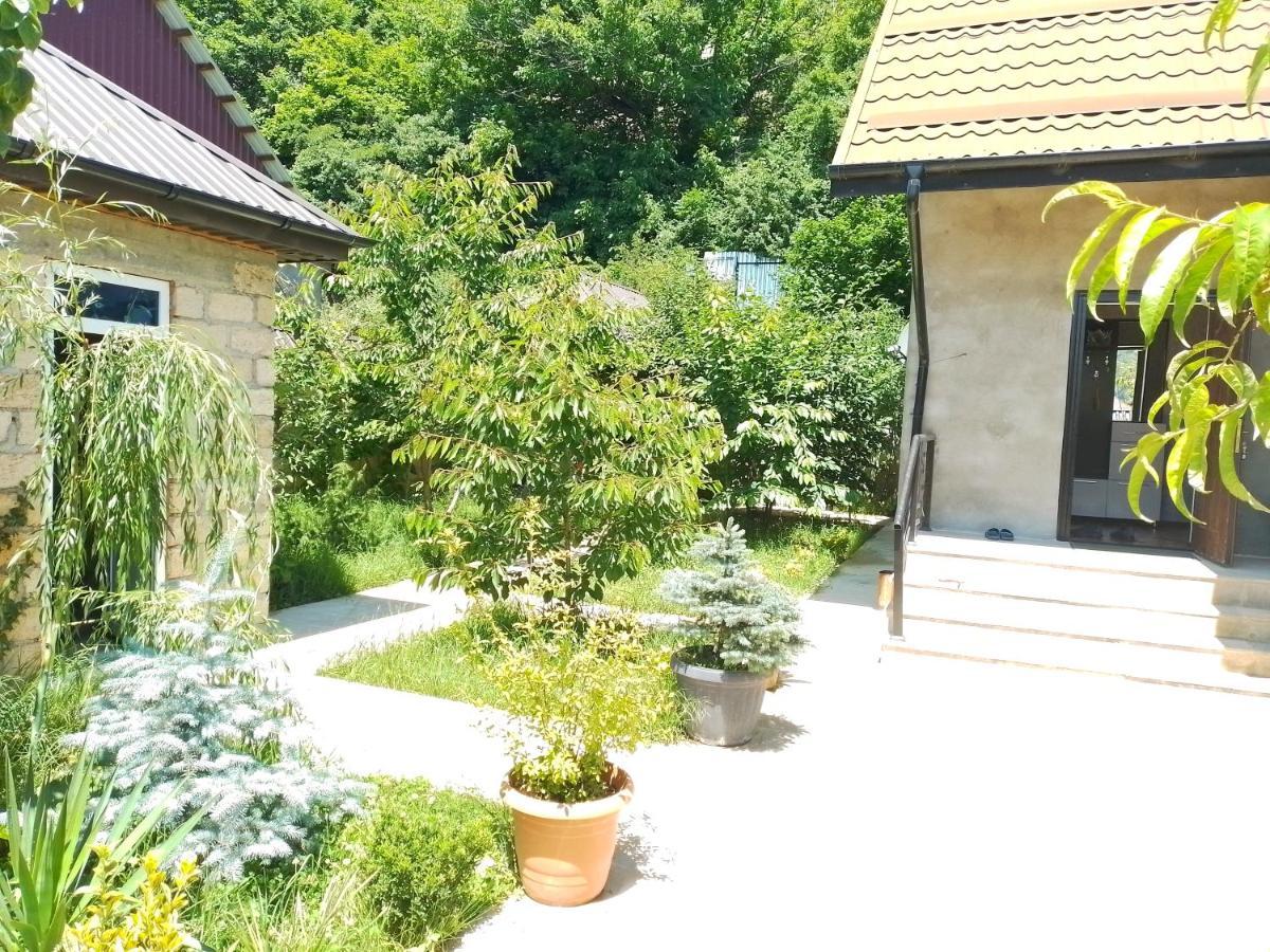 Dom Semya Deluxe Gusar Qusar Exterior foto